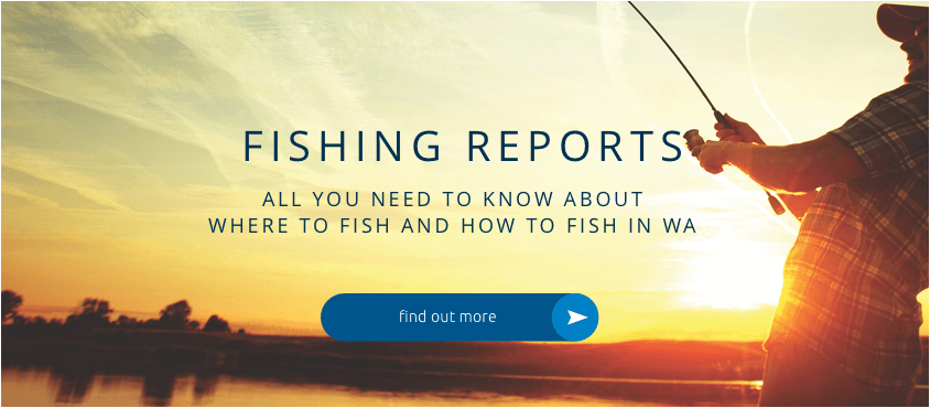 Fishing-Reports – Recfishwest