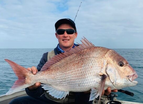 Scott's Species – pink snapper, a stunning favourite among recfishers –  Recfishwest