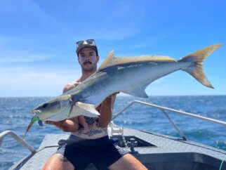 Hervey Bay Cobia, Shaun Taylor