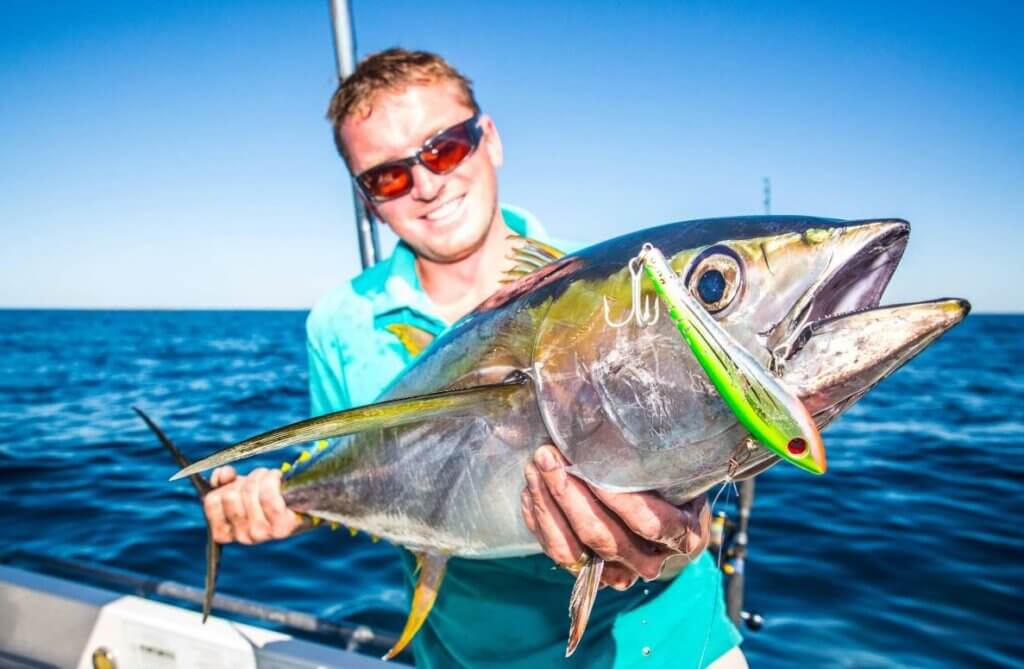 Scott's Species – yellowfin tuna, a wonderful prized pelagic – Recfishwest
