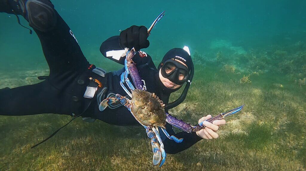 Scott's Species – blue swimmer crab, a staple of the WA summer – Recfishwest