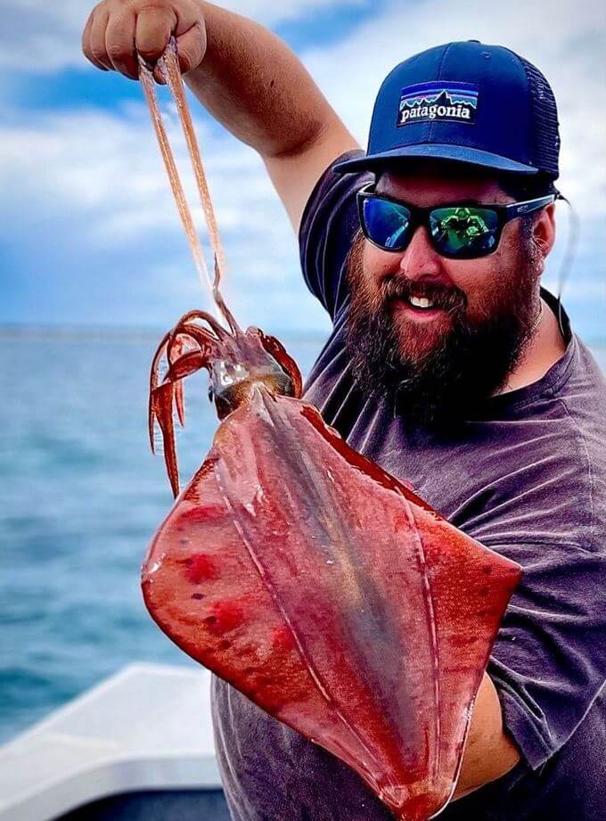 Scott's Species – southern calamari, an inshore delicacy – Recfishwest