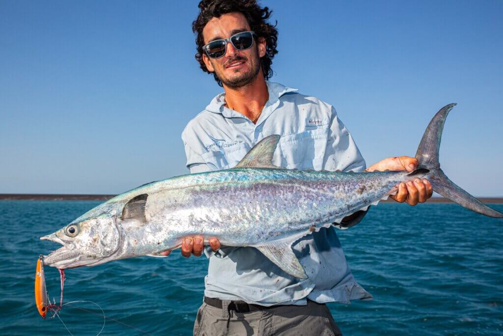 Scott's Species – grey mackerel, the lesser known brother of the Spanish  mackerel – Recfishwest