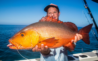 Scott's Species – Red Bass – the mangrove jack look-alike