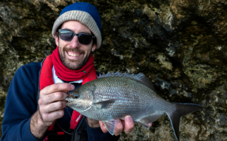 Scott's Species – buffalo bream – buff, tough and a great species for kids  – Recfishwest