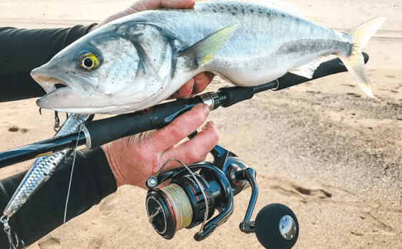 How To Choose A Fishing Rod - Go Salmon Fishing